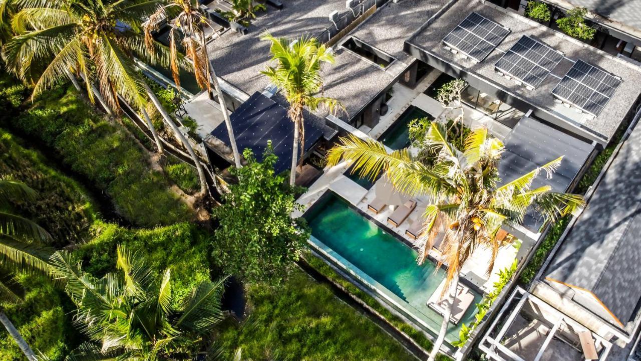 Palm Paradise By Balisuperhost Villa Ubud (Bali)